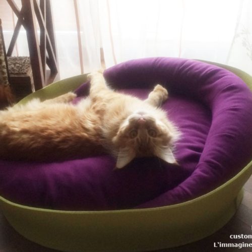 ARENA Luxury Cat Bed (Felt)