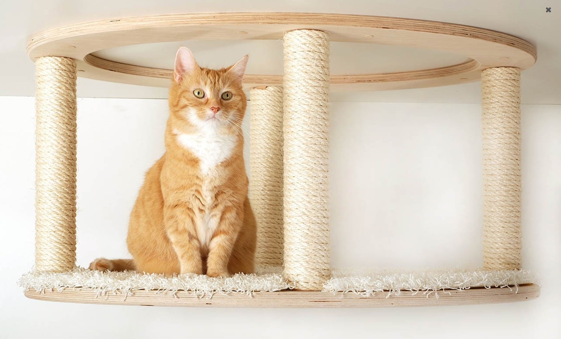 Kattehimlen | væghængt kattetræ i flot design